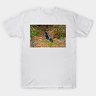 Kalij Pheasant at Dusk T-Shirt